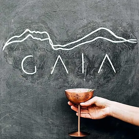 Gaia 호텔